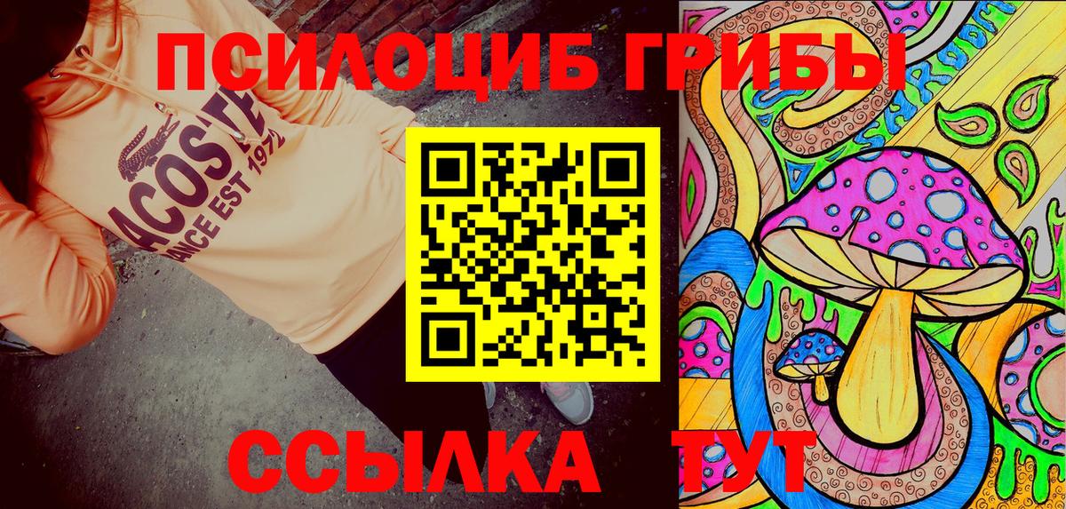 Галлюциногенные грибы Psilocybe Джанкой